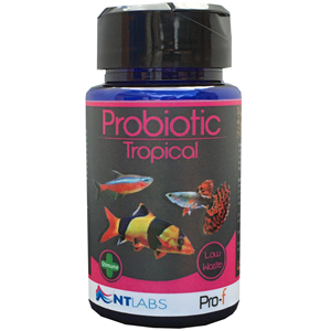 Nt Labs Pro-F Probiotic Tropical
