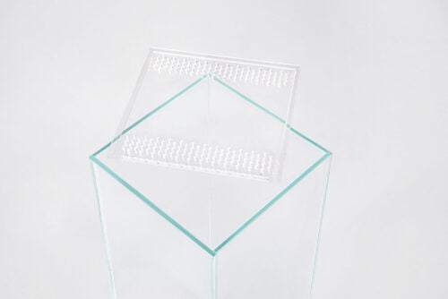 Diversa Tall Glass Terrarium