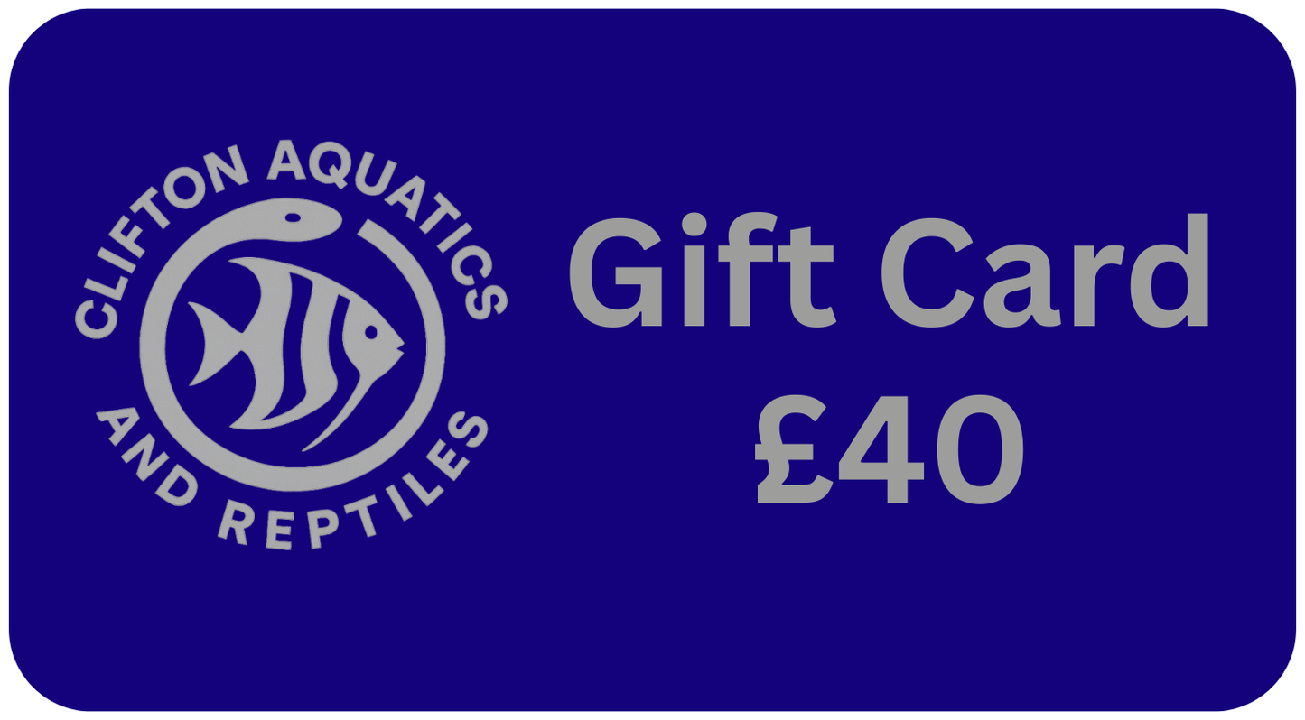 Fish Tank LTD Gift Card