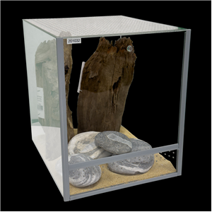 Diversa Glass Terrarium