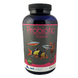Nt Labs Pro-F Probiotic Tropical