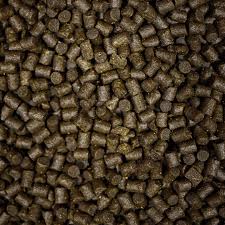 NT Labs Pro-F Predator Sinking