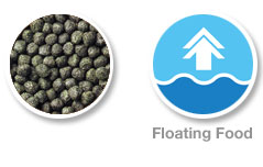 Hikari Cichlid Excel 57g