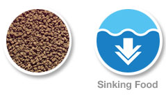 Hikari Discus Bio-Gold