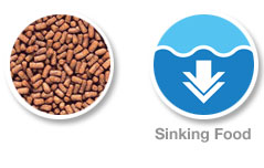 Saki-Hikari Fancy Goldfish Colour Enhancing