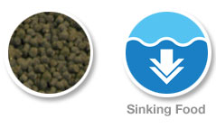 Hikari Sinking Cichlid Excel