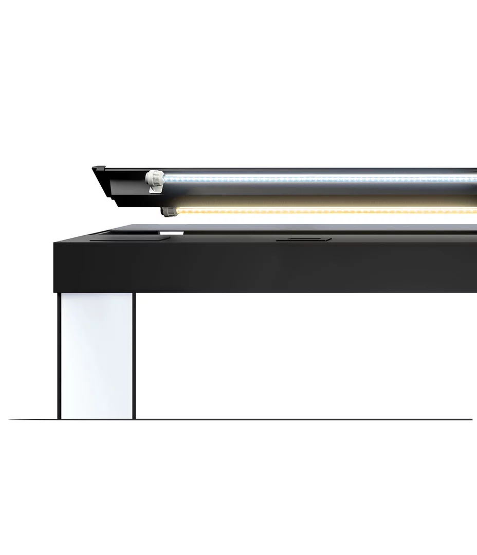 Juwel Rio 290 LED Aquarium and Cabinet
