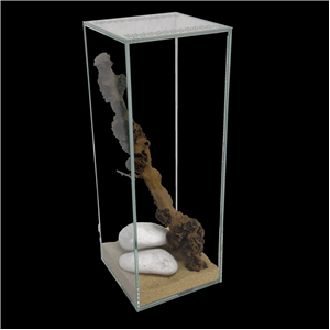 Diversa Tall Glass Terrarium