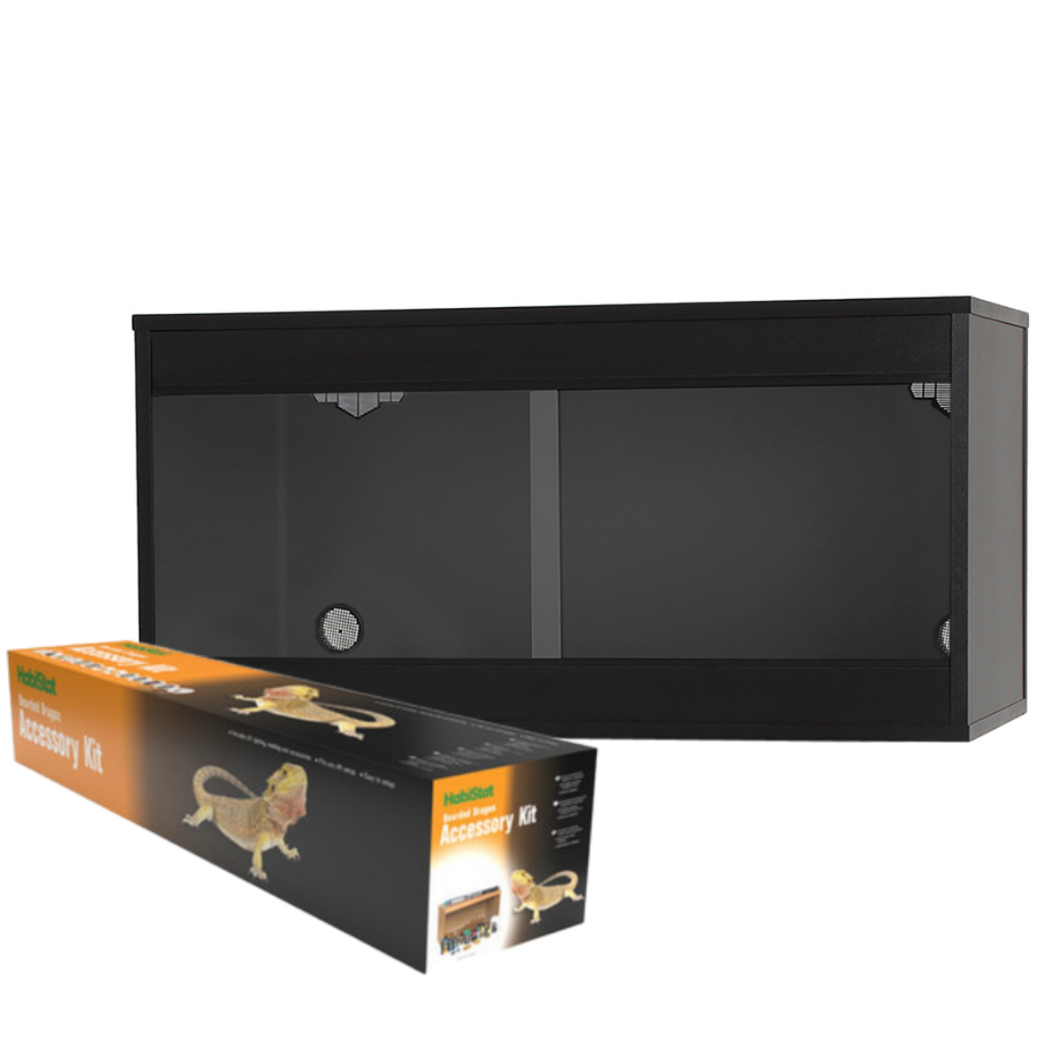 Bearded Dragon Full Set Up