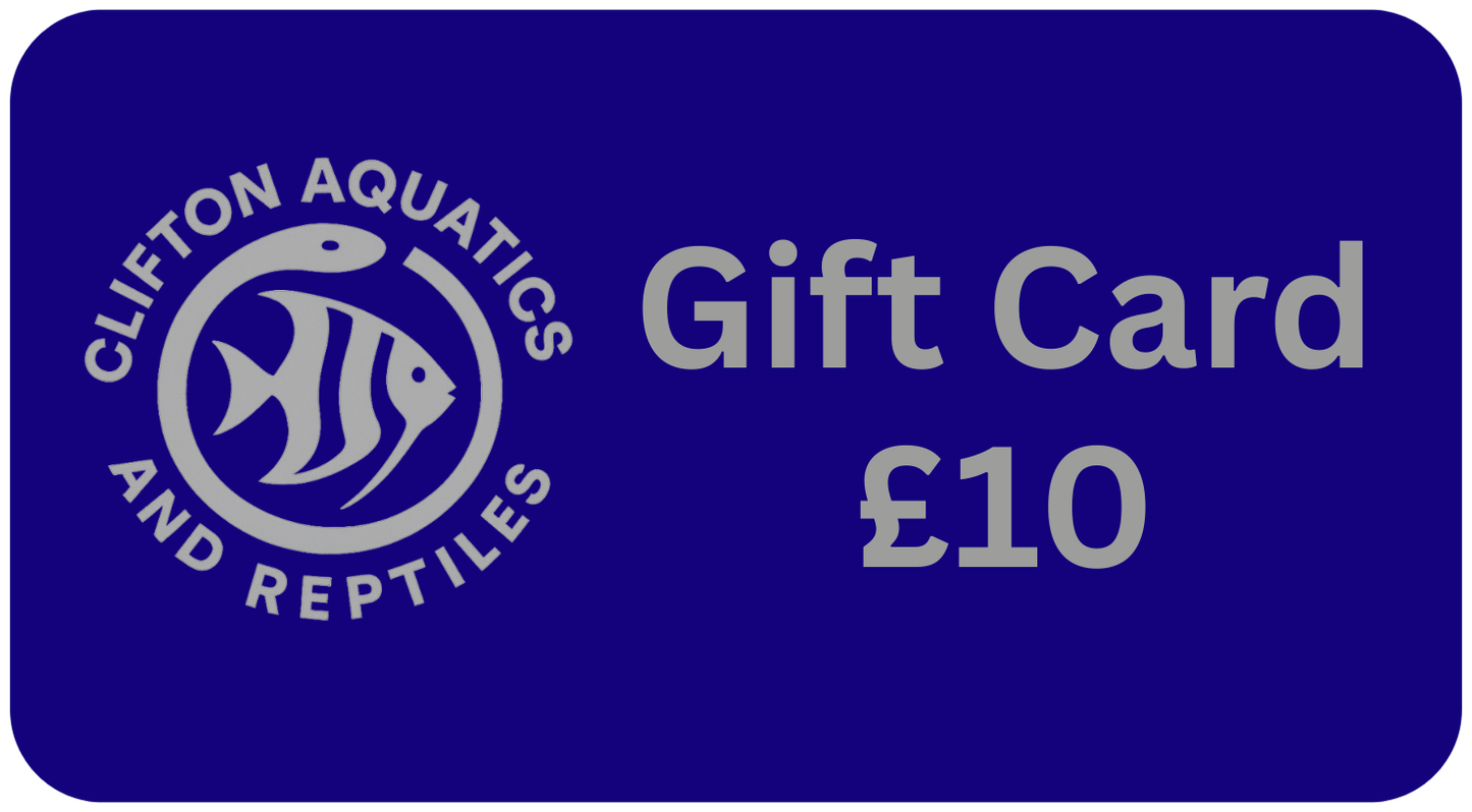 Fish Tank LTD Gift Card