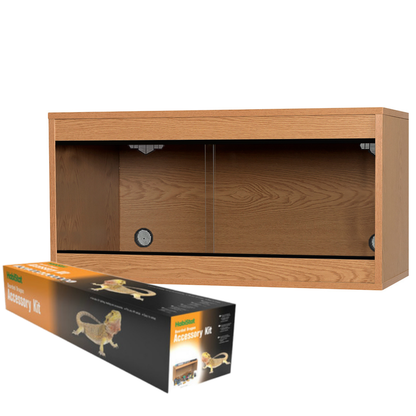 Bearded Dragon Full Set Up