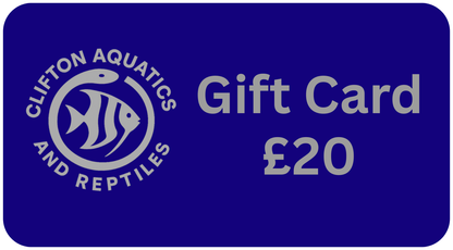 Fish Tank LTD Gift Card