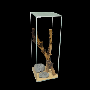 Diversa Tall Glass Terrarium