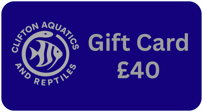 Fish Tank LTD Gift Card