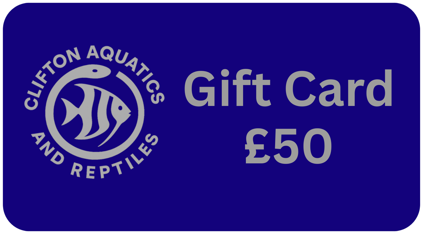 Fish Tank LTD Gift Card