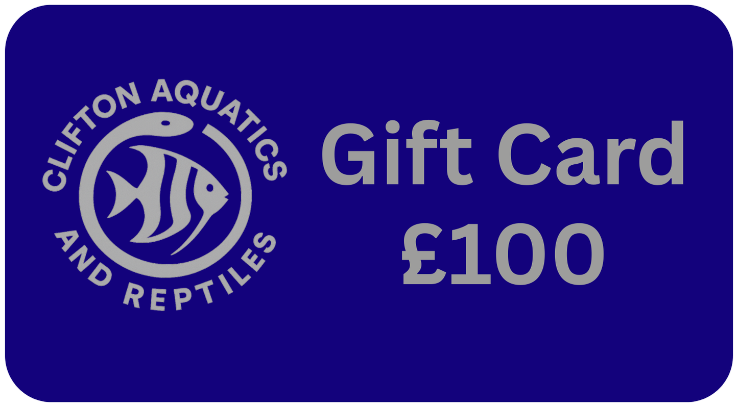 Fish Tank LTD Gift Card
