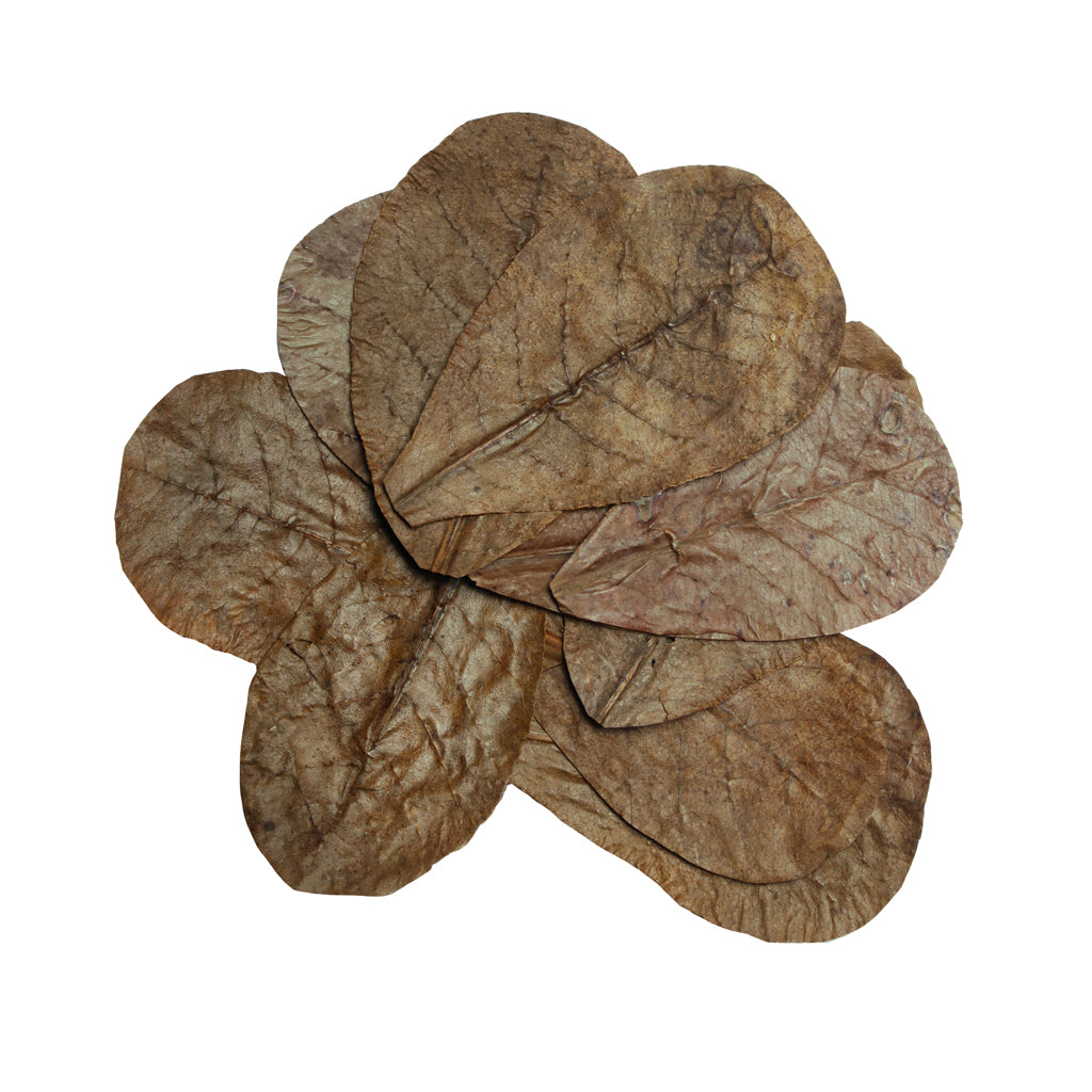 HabiStat Leaves