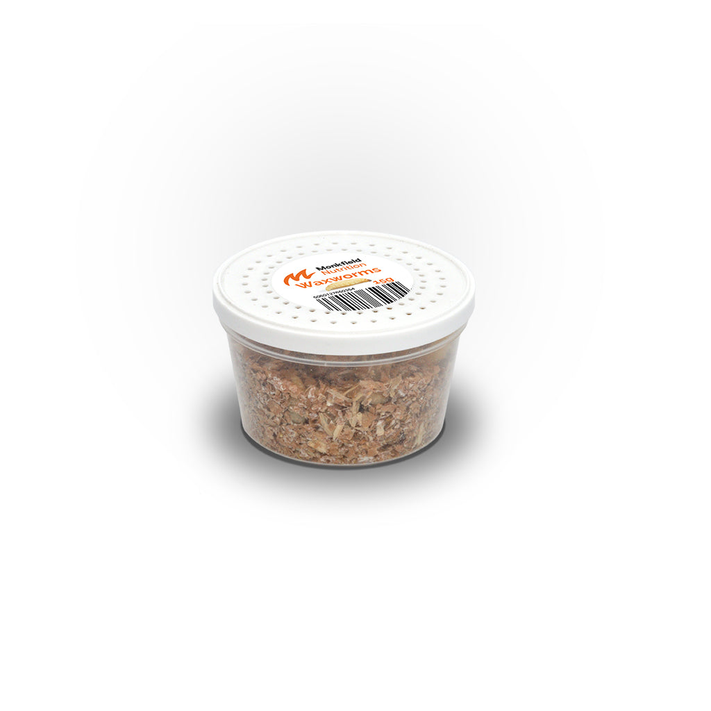 Wax worms
