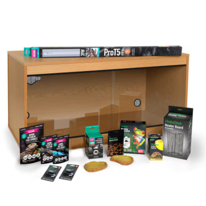 Bearded Dragon Full Set Up