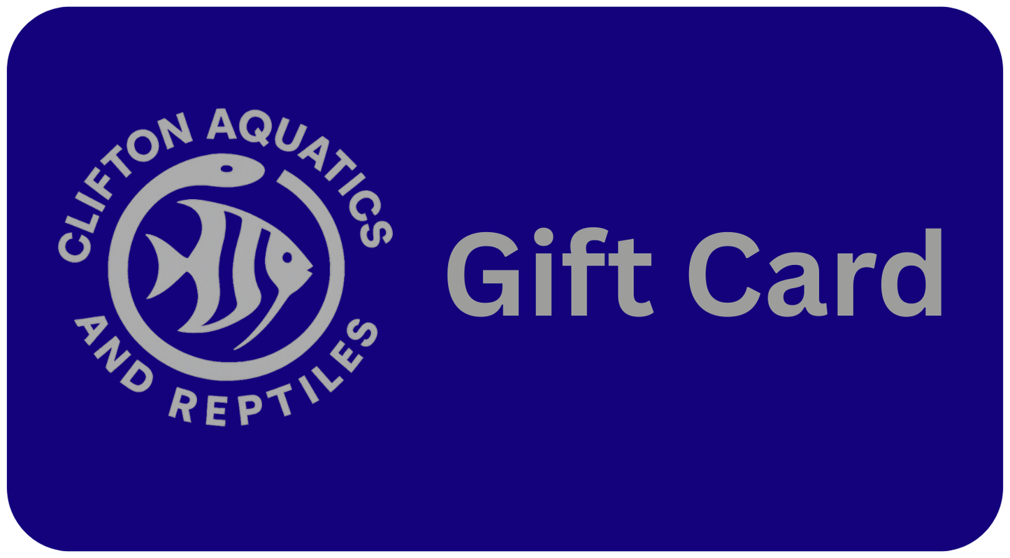Fish Tank LTD Gift Card