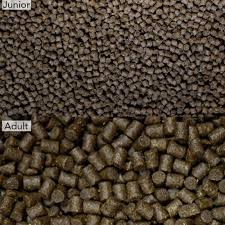 NT Labs Pro-F Axolotl Pellets