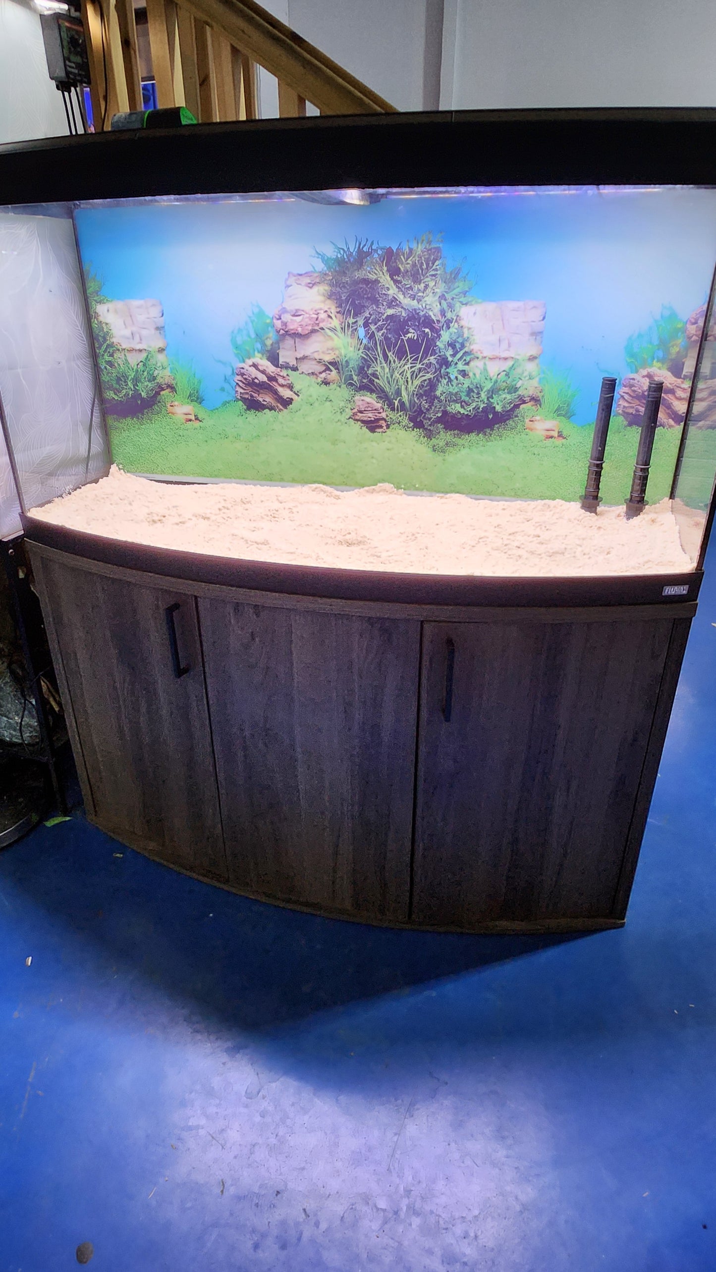 Fluval Vicenza 260 complete tank